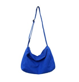 Royal blue canvas casual...