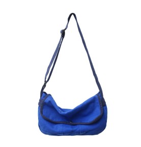 Royal blue canvas casual...